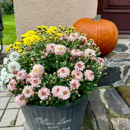 Вилла U Polovnika